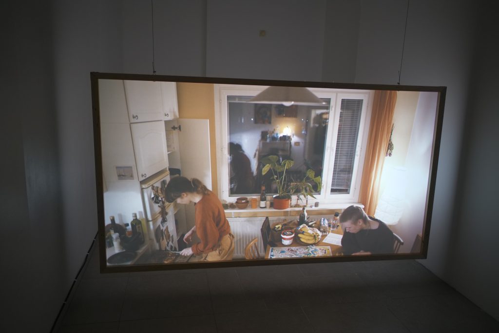 ”Katsovatko puut meitä?” | tilataideteos | 16 mm filmi, digitaalinen video ja ääni, huonekasvi, sekatekniikka | 2025