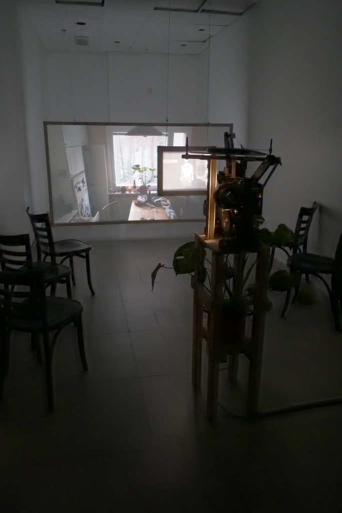 ”Katsovatko puut meitä?” | tilataideteos | 16 mm filmi, digitaalinen video ja ääni, huonekasvi, sekatekniikka | 2025